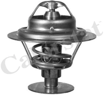Thermostat, coolant (TH6593.82)