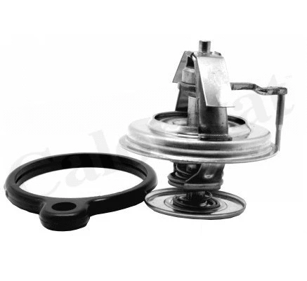 Thermostat, coolant (TH7163.84J)