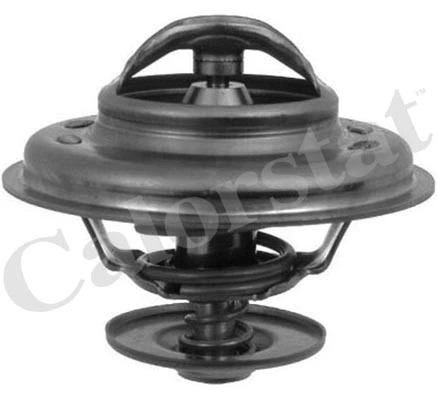 Thermostat, coolant (TH6246.88J)