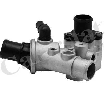 Thermostat, coolant (TH5975.80J)