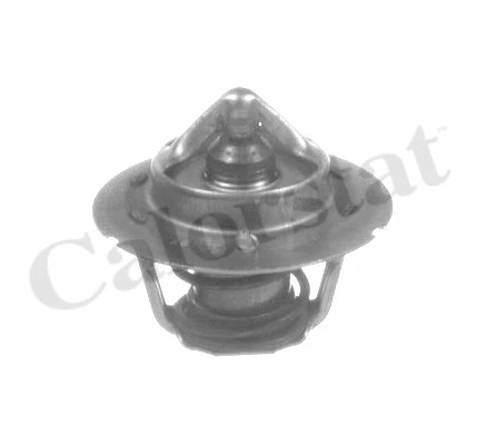Thermostat, coolant (TH6843.91J)