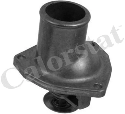 Thermostat, coolant (TH5979.92J)