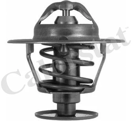 Thermostat, coolant (TH6063.82J)