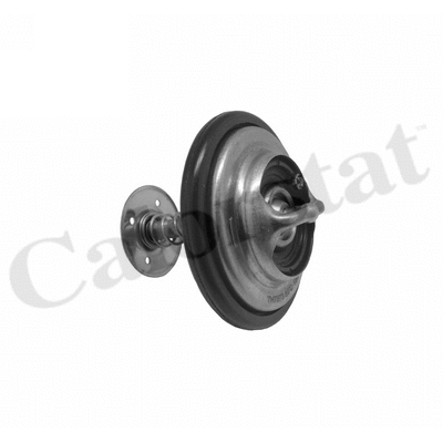 Thermostat, coolant (TH7373.82J)
