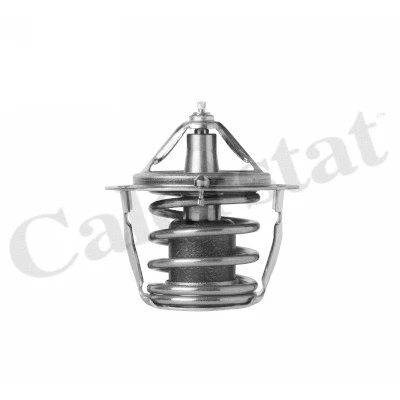 Thermostat, coolant (TH7400.91J)