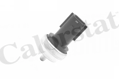 Sensor, coolant temperature (WS3019)