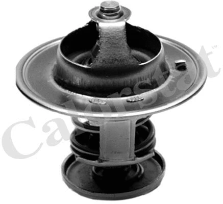 Thermostat, coolant (TH7022.82J)