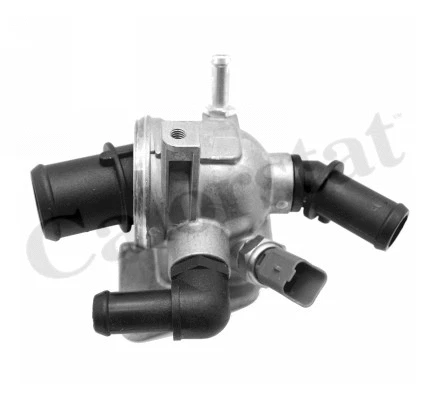 Thermostat, coolant (TH6981.88J)