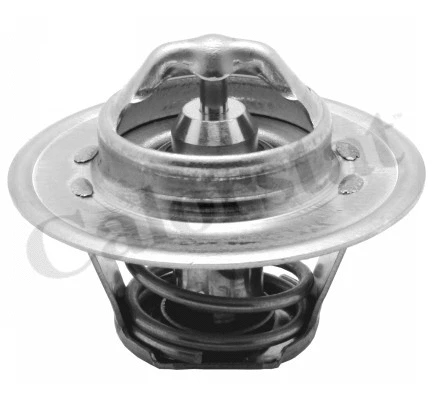 Thermostat, coolant (TH5962.82J)