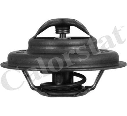 Thermostat, coolant (TH4640.85J)