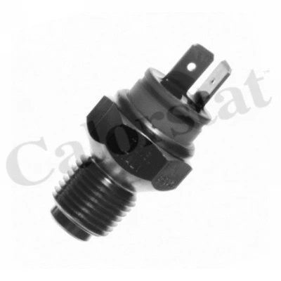 Sensor, coolant temperature (WS2623)