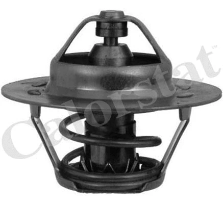 Thermostat, coolant (TH5108.78J)