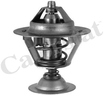 Thermostat, coolant (TH6511.88J)