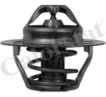 Thermostat, coolant (TH6047.89J)