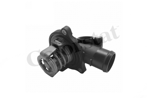 Thermostat, coolant (TH7366.87J)