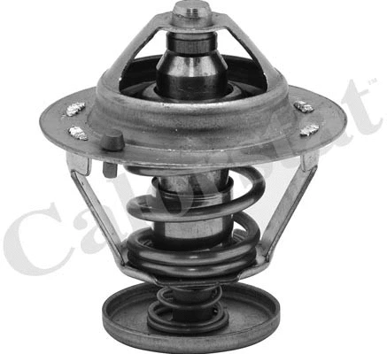 Thermostat, coolant (TH6484.76J)