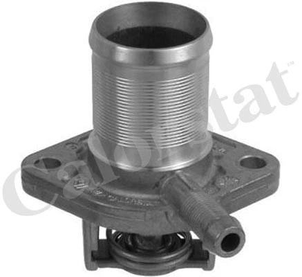 Thermostat, coolant (TH5493.89J)