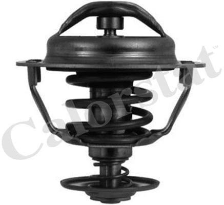 Thermostat, coolant (TH5446.83J)