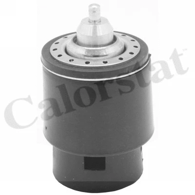 Thermostat, coolant (TH7266.95)