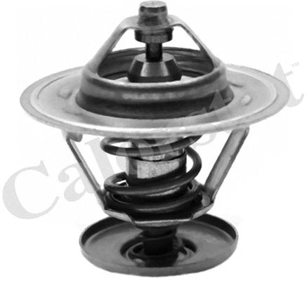 Thermostat, coolant (TH7020.82)