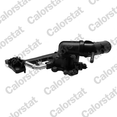 Thermostat, coolant (TH7424.88J)
