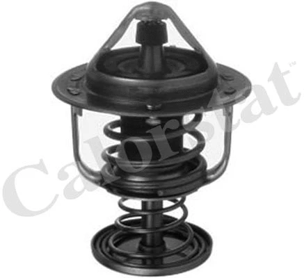 Thermostat, coolant (TH6876.80J)