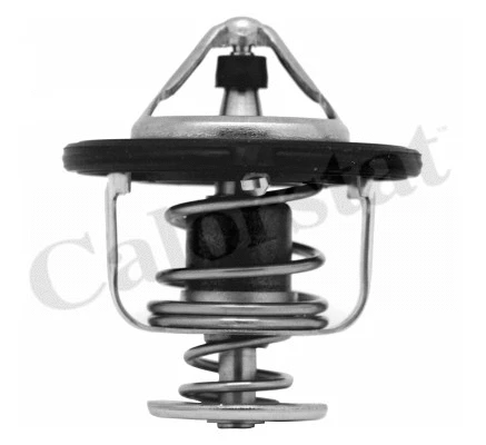 Thermostat, coolant (TH6948.82J)