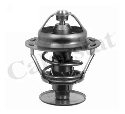 Thermostat, coolant (TH1542.82J)
