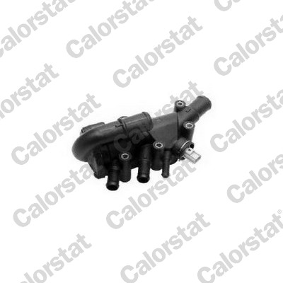 Thermostat, coolant (THK683821.82J)