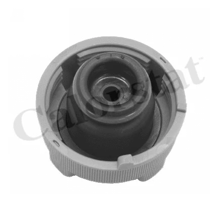 Cap, coolant tank