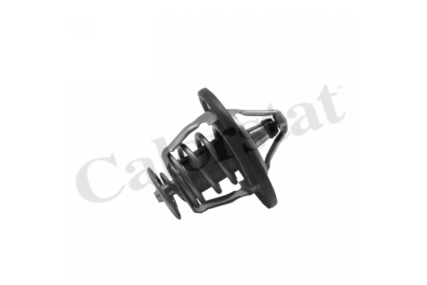 Thermostat, coolant (TH7421.82J)