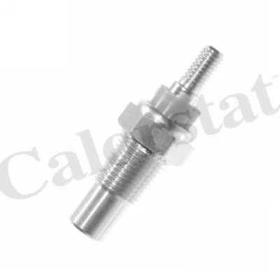 Sensor, coolant temperature (WS2516)