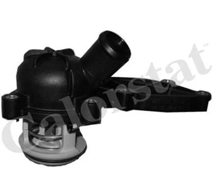 Thermostat, coolant (TH6989.88J)