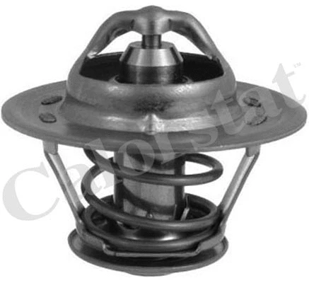 Thermostat, coolant (TH1508.83J)