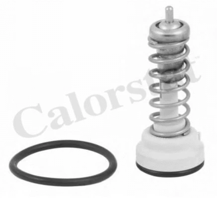 Thermostat, coolant (TH7203.95J)