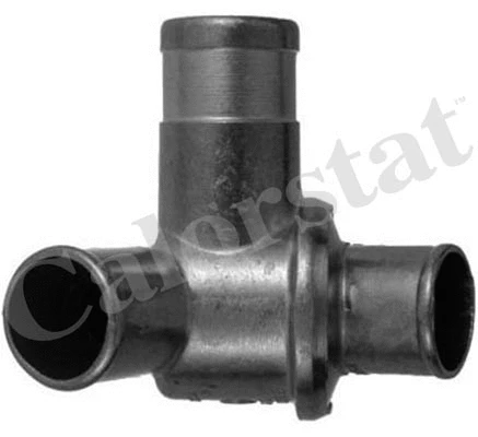 Thermostat, coolant (TH245F.79)
