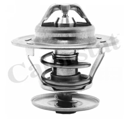 Thermostat, coolant (TH1439.84J)