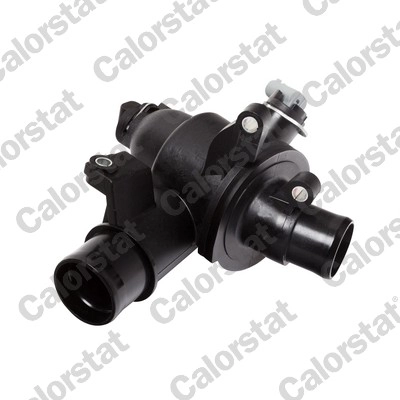 Thermostat, coolant (TH7381.82J)