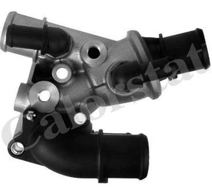 Thermostat, coolant (TH6829.80J)