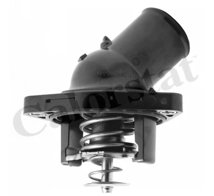 Thermostat, coolant (TH7317.82J)