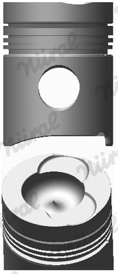 Piston (87-174100-00)