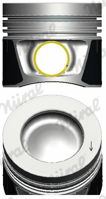 Piston (87-432300-00)