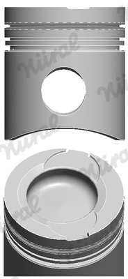 Piston (87-283100-01)