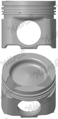 Piston (87-434400-30)
