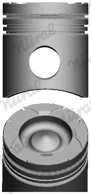 Piston (87-143800-30)