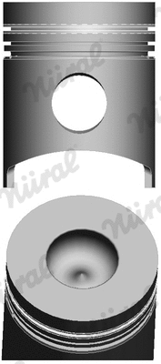 Piston (87-523000-00)