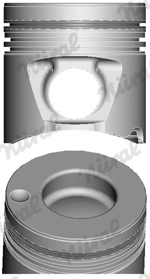 Piston (87-179300-85)