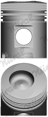 Piston (87-741800-00)