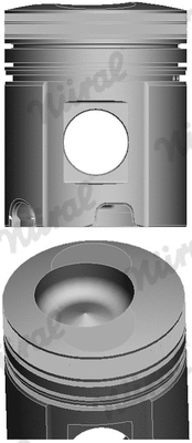 Piston (87-744600-00)