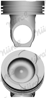 Piston (87-431300-00)